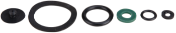 Dichtungen für Sprühgerät