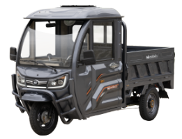 Voinicu Elektrisches Cargodreirad mit Geschlossener Kabine TCB1500