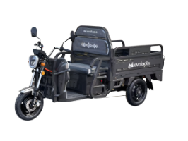 Balaur Elektrisches Cargodreirad TRCC1000