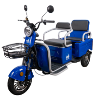 Elektrisches Passagierdreirad mit Doppelsitzbank Bendis TRCC1200 EvoTools®